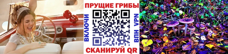 Псилоцибиновые грибы Psilocybine cubensis  как найти закладки  Выборг 